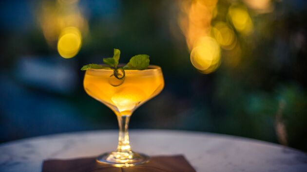 Cocktail Tasting im Garten